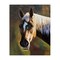 Stupell Industries Brown Horse Portrait Canvas Wall Art Design by Andrew Kiss